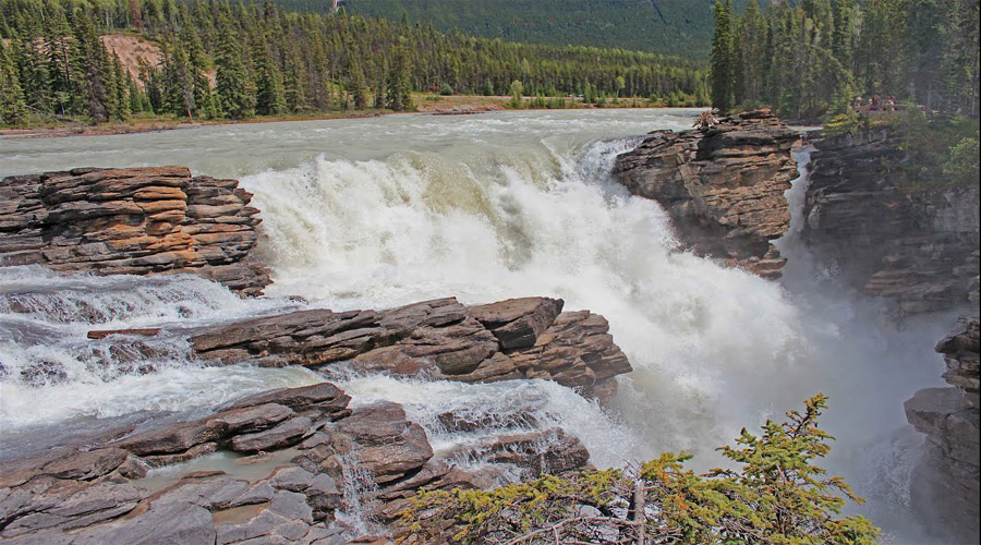 Athabasca Falls jasper