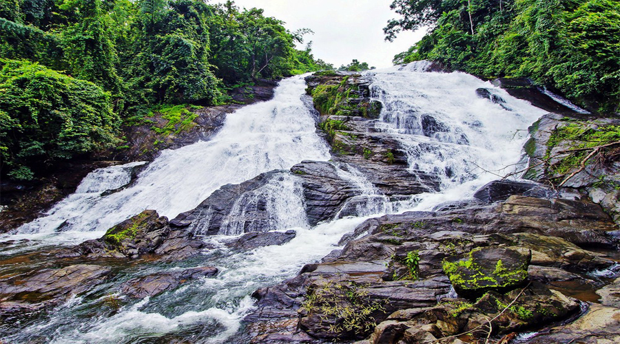 Waterfalls, Munnar