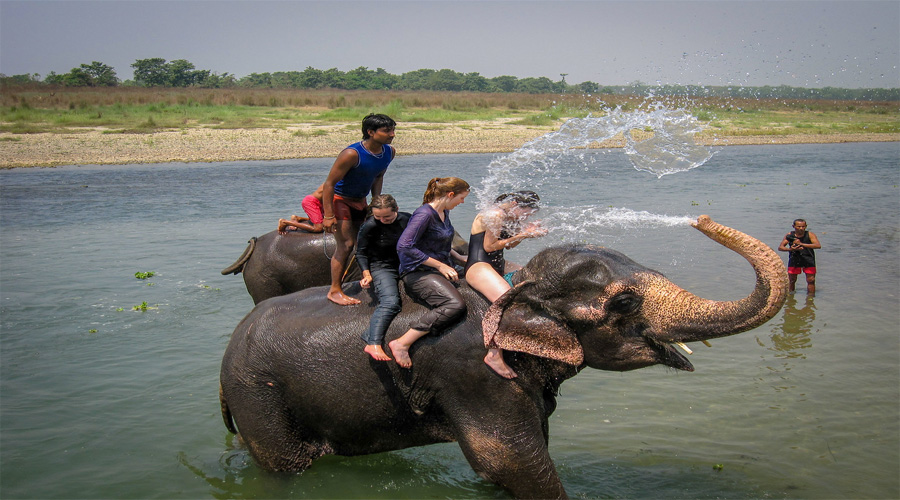 Elephant Ride Chitwan 
