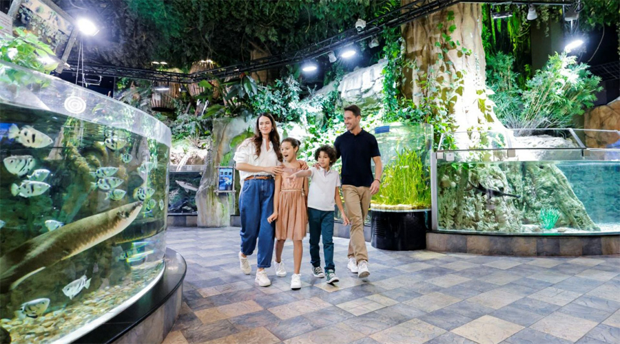 Dubai Aquarium & Underwater Zoo - Ultimate Exp