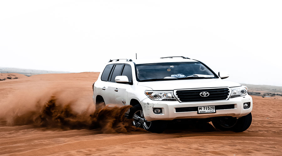 Dune Bashing on Red Dunes