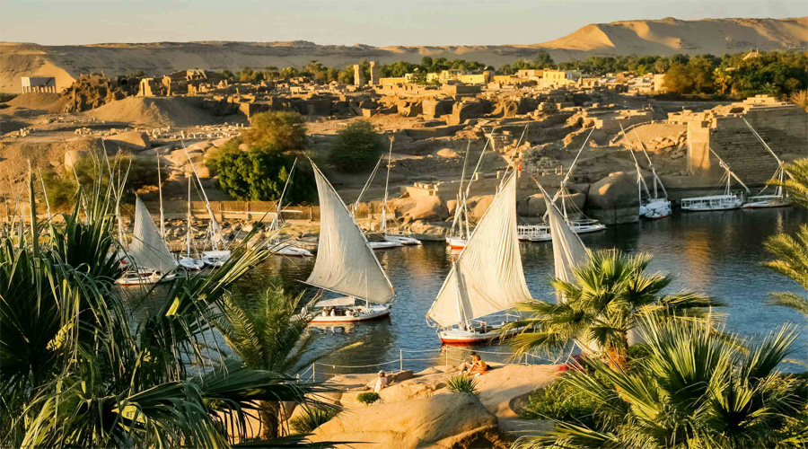 Felucca Ride at Aswan to Botanical Garden