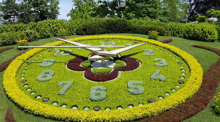 Geneva Clock Flower
