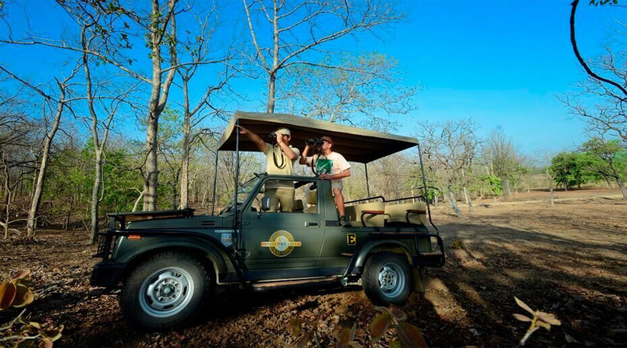 Jeep Safari at Pench National Park