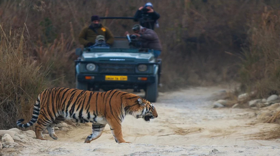 Kalgarh Tiger Reserve