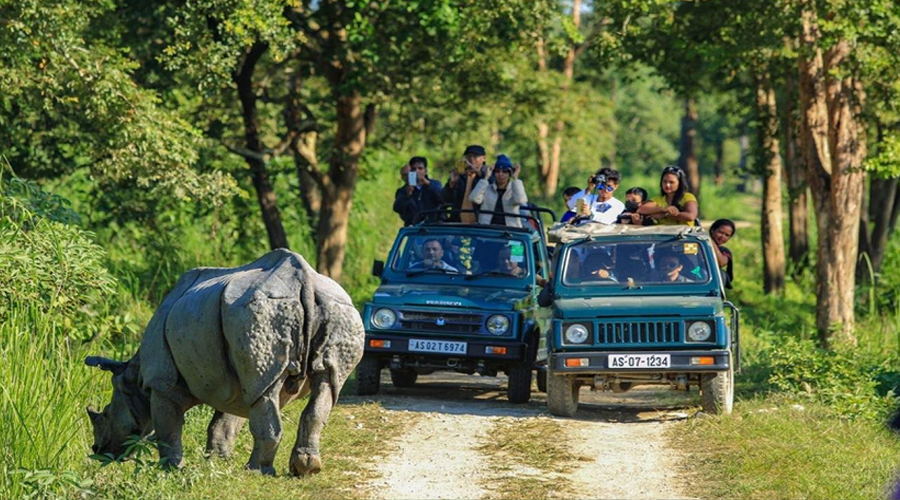 Jeep safari, Kaziranga
