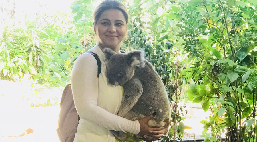 Koala holding by HK Mam