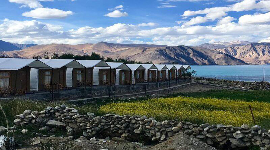 Ladakh camp Near lake