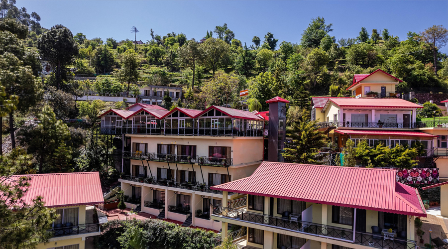 Maple Resort Chail