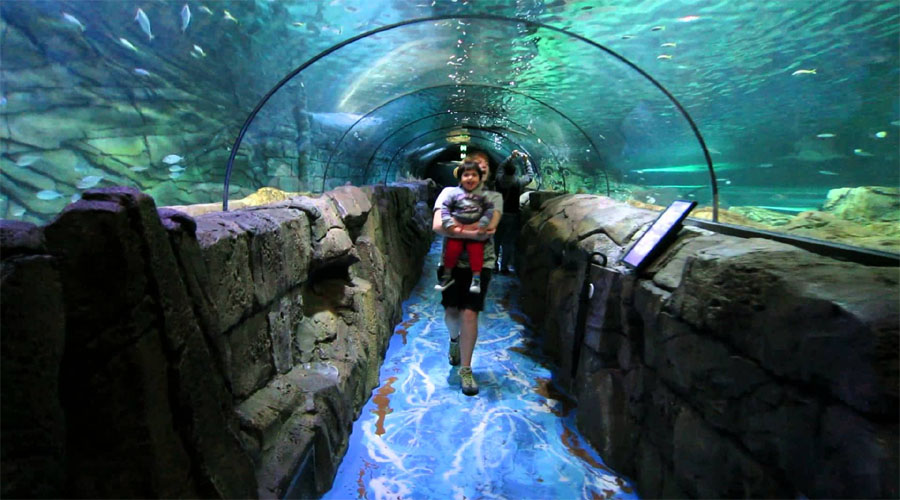 Sea Aquarium