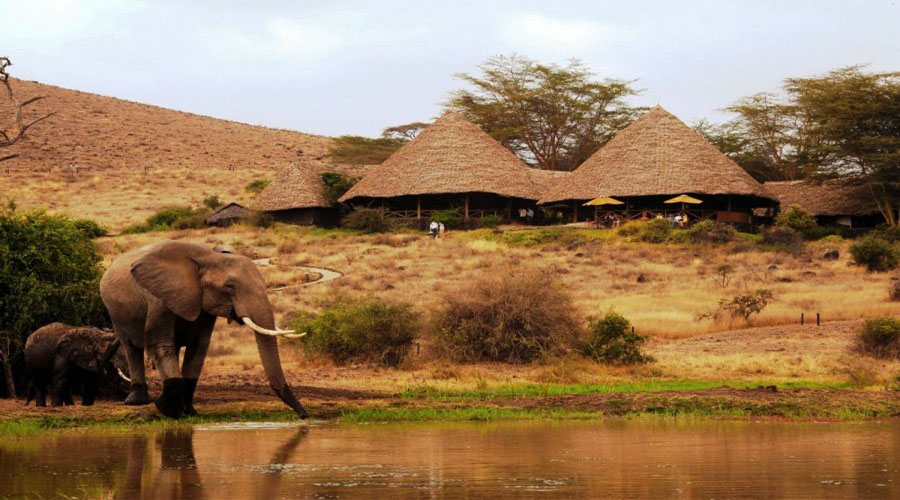 Amboseli National Park Camp Kenya