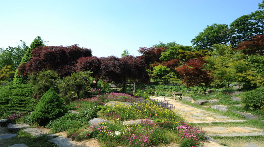 Botanical Garden ,Thimpu