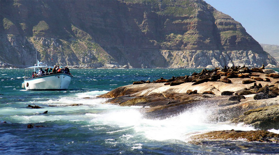 Duiker Island Capetown