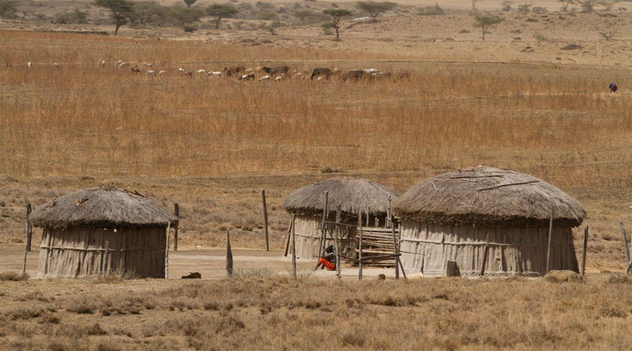Massai Maga Village