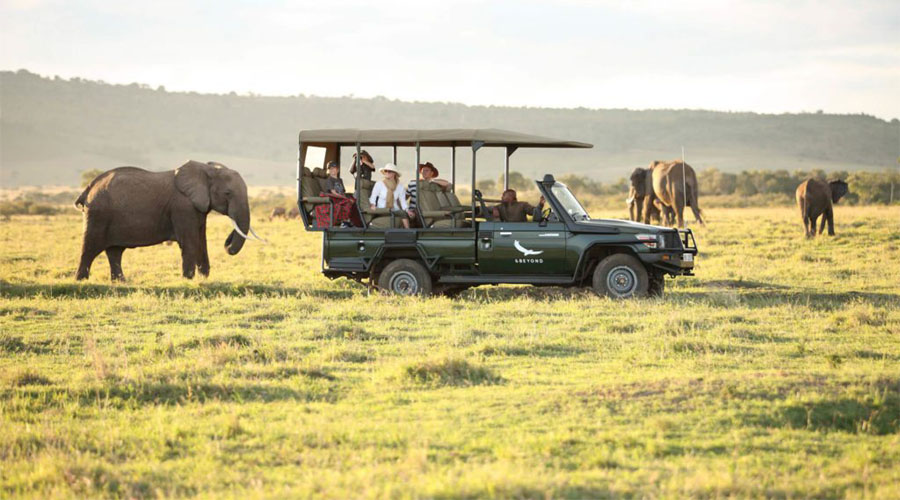Safari Maasai Mara Game Reserve