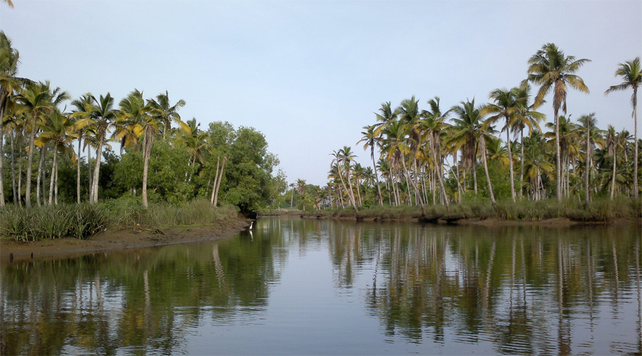Backwaters Poovar Island Kerala 