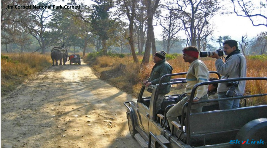Jeep safari at Dhikala Zone 