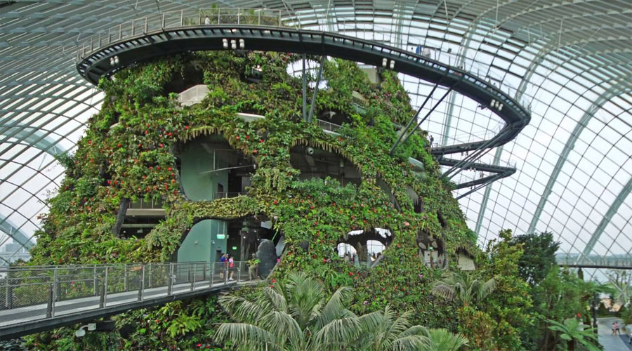 Cloud Forest Conservatory , Singapore