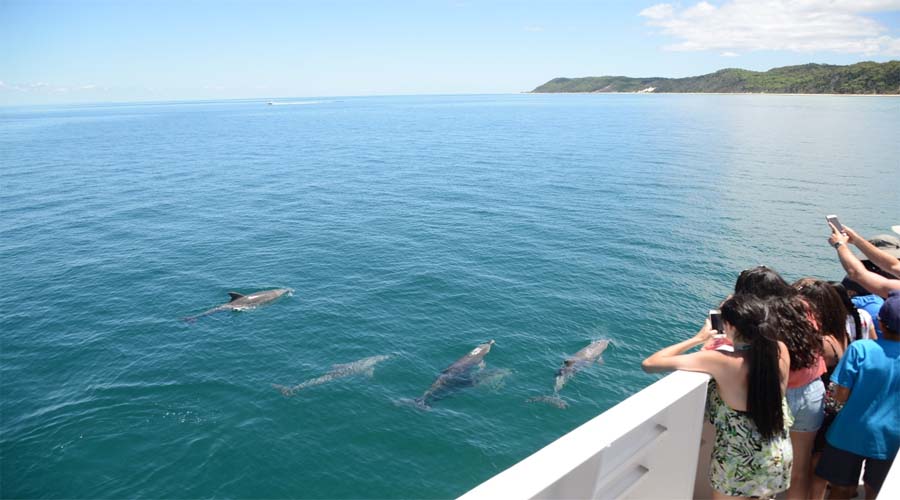 Marine Discovery tangaloma