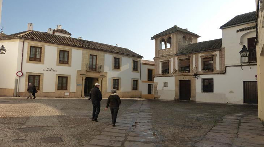 The Plaza Maimonides