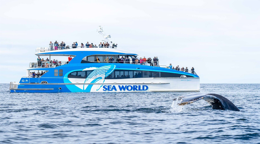 Sea World Cruise OOL