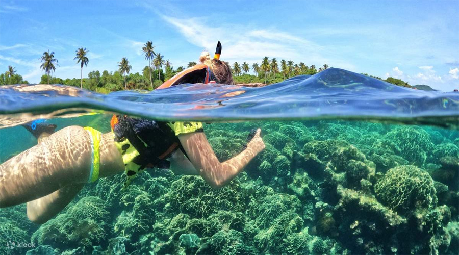 Snorkeling Day Tour with Speedboat in Phu Quoc