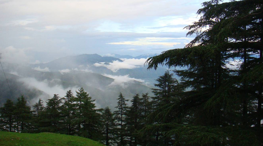 Valley view Dhanachuli