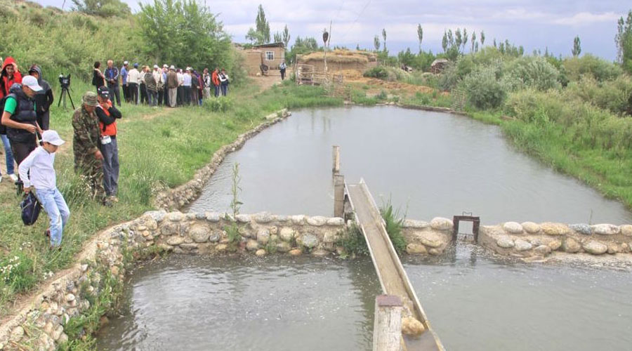 Fish Farm Bishkek
