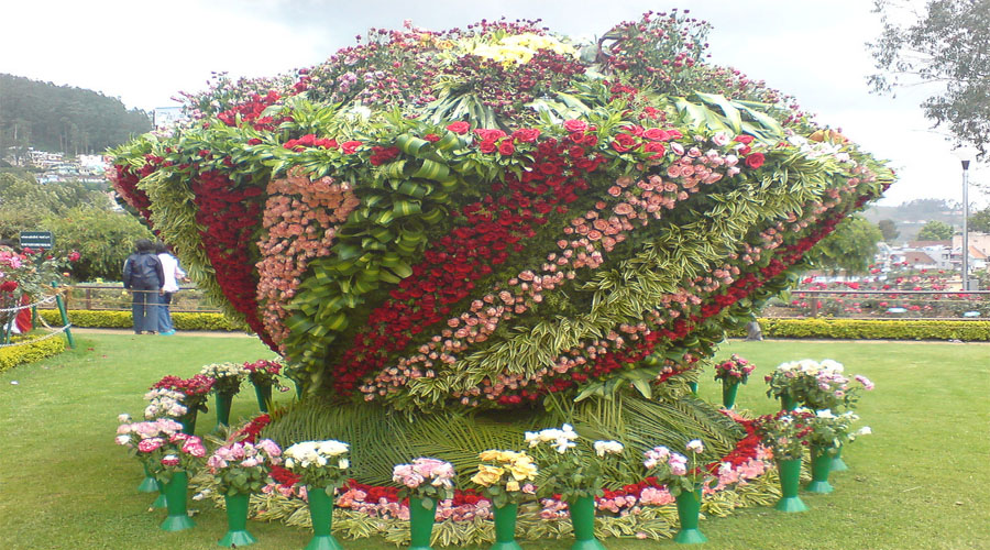 Flower show,Gangtok