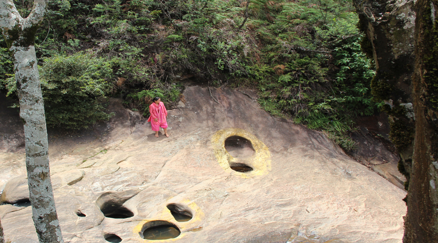 Footprint Hanuman Ashok van