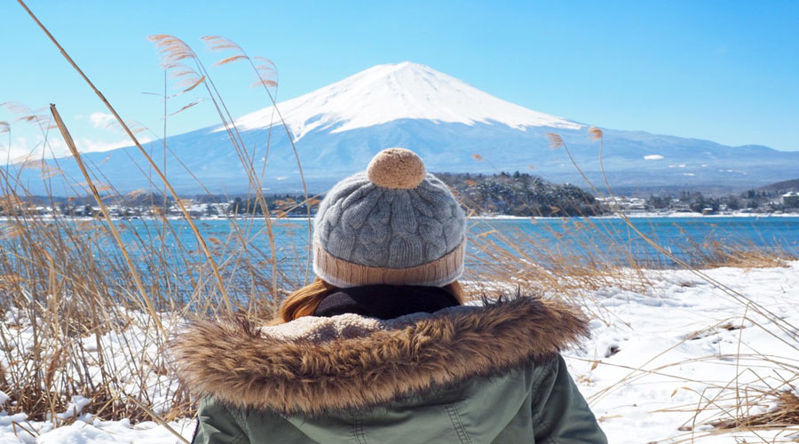 Mt. Fuji & Hakone Tour, Tokyo