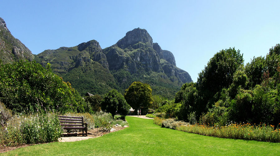 Kirstenbosch gardens, Cape Town
