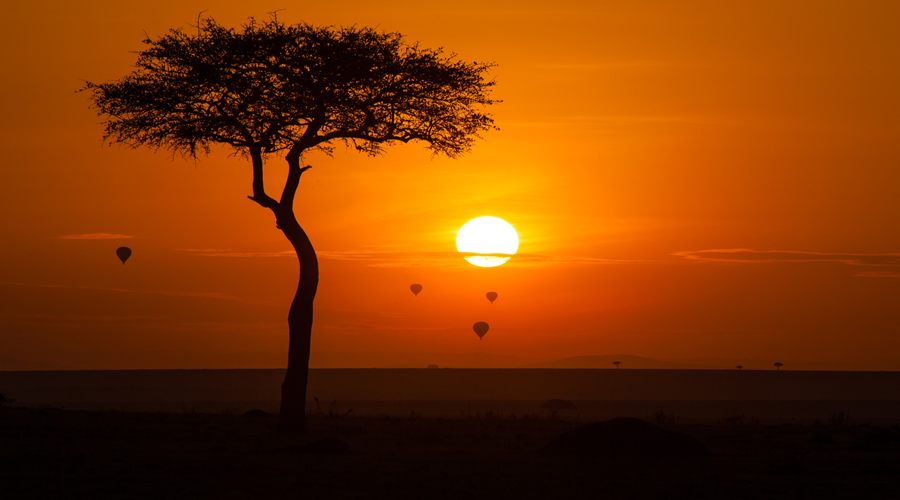 masai mara sunset view