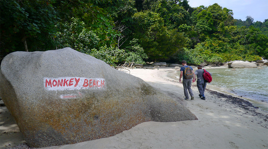 monkey beaches