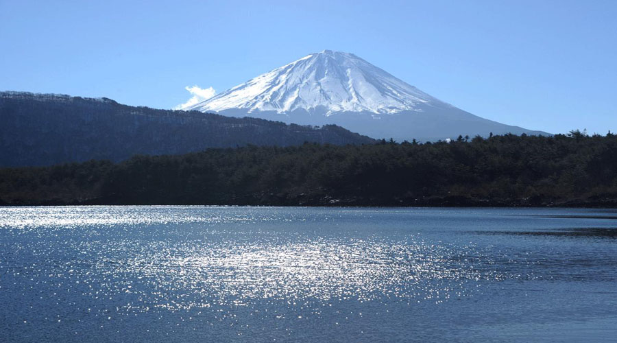 Mt. Fuji & Hakone Tour Tokyo