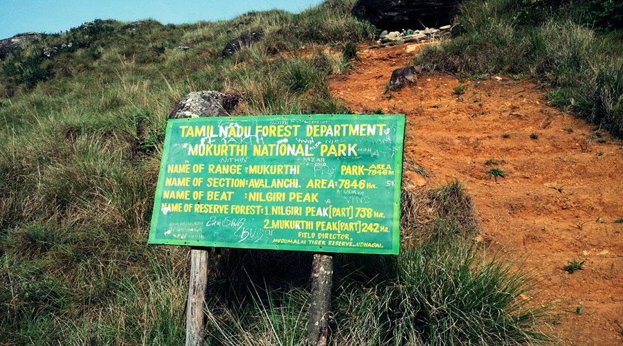 Mukurthi peak