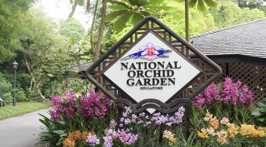 National Orchid Garden,Singapore