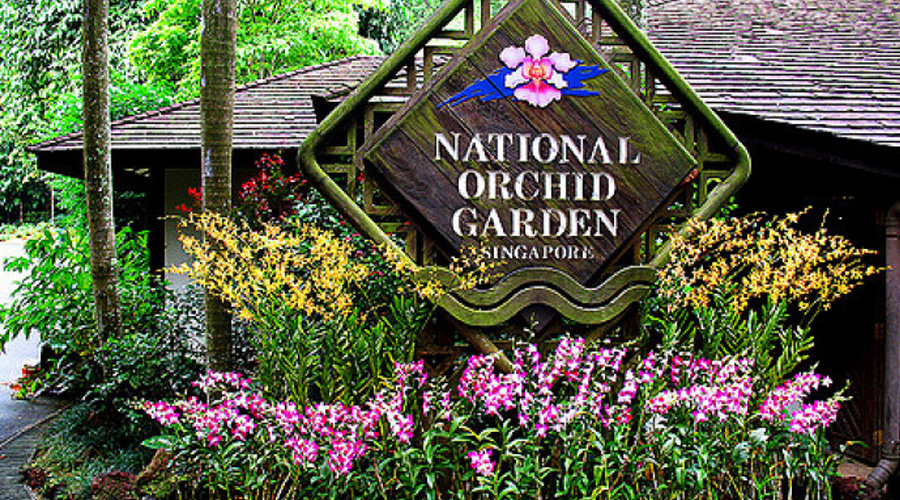 orchid garden singapore