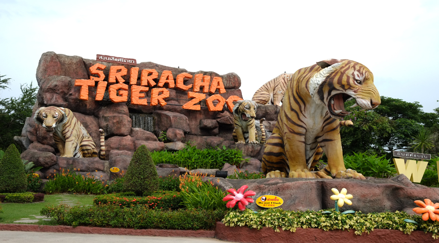 Sri Racha Tiger Zoo, Pattaya