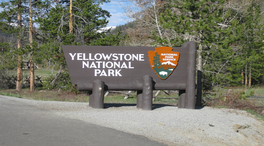 YellowStone Park