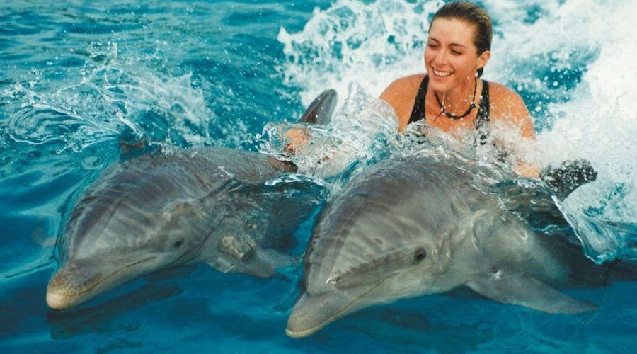 Swim with Dolphin Tour