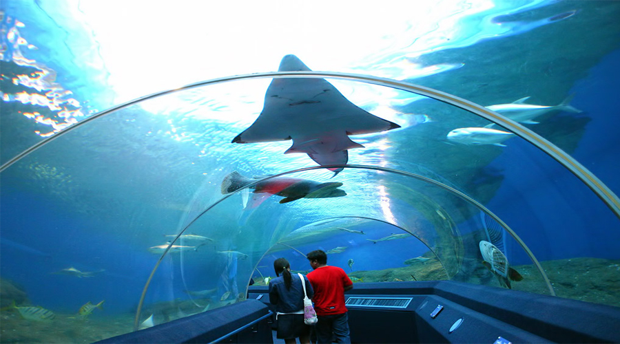 Underwater World Aquarium,Pattaya