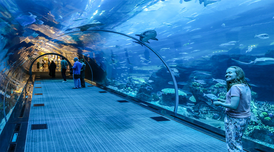 Dubai Aquarium in Dubai Mall